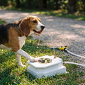 Basecamp Trail Spring — Outdoor Dog Water Fountai