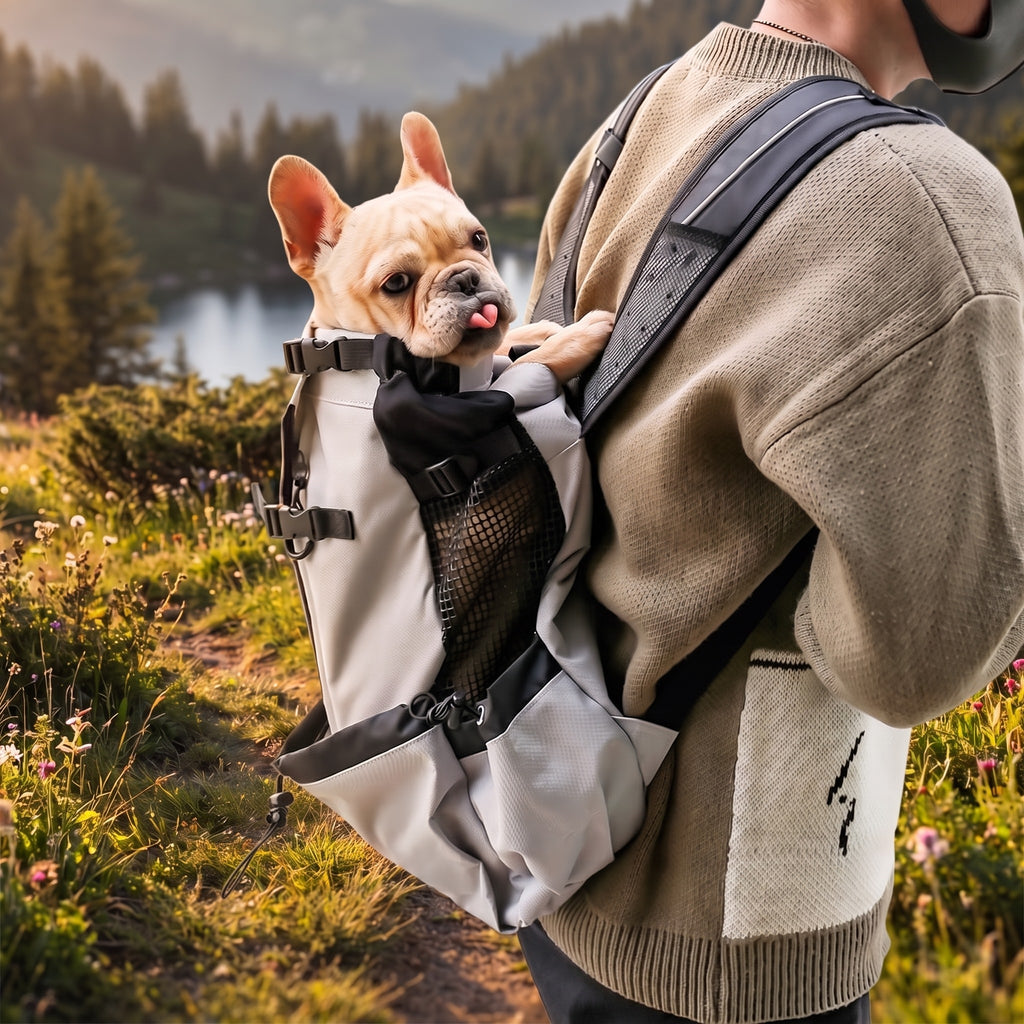 Basecamp Trail Carrier — Adventure Dog Backpack